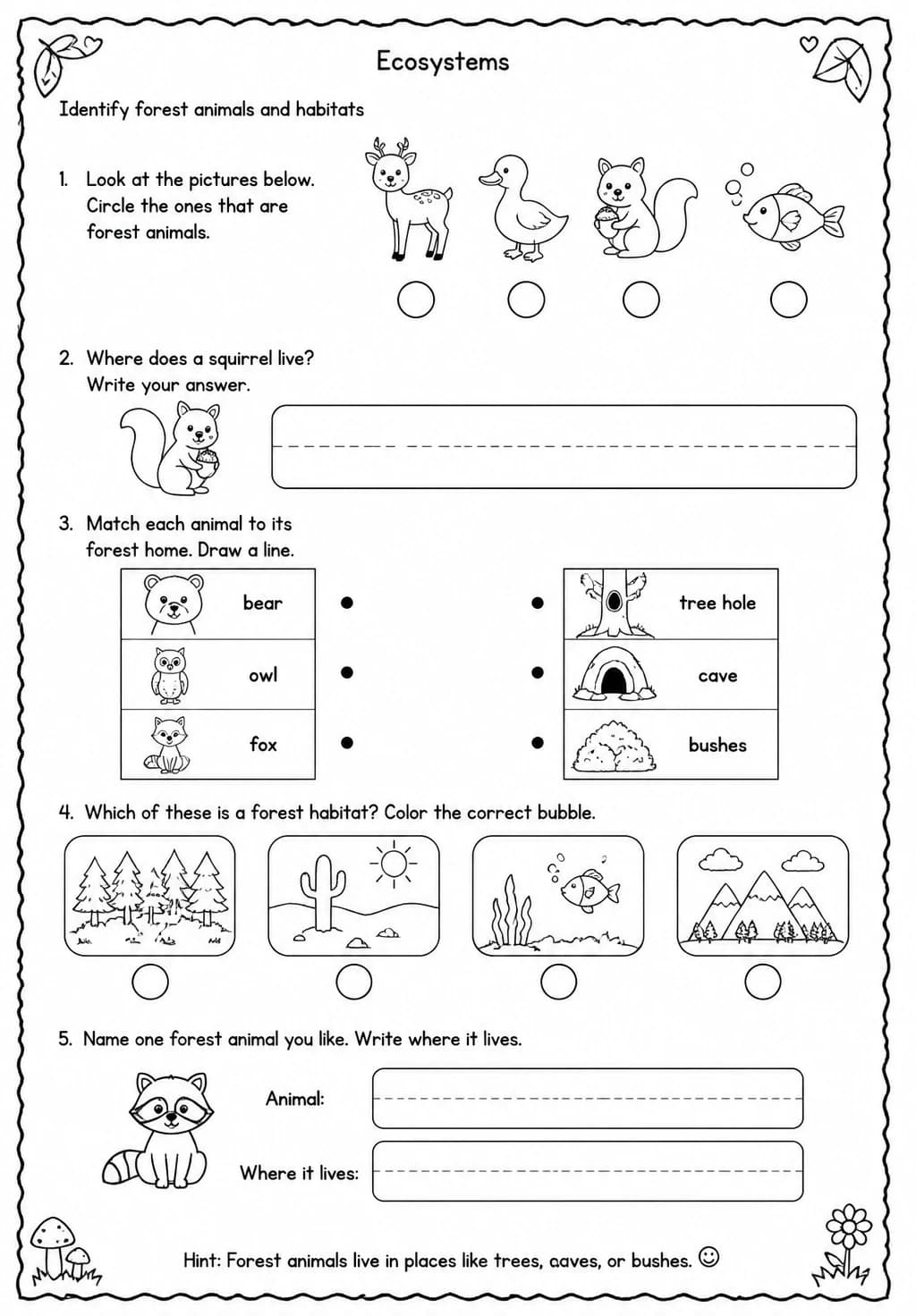 Identify forest animals and habitats