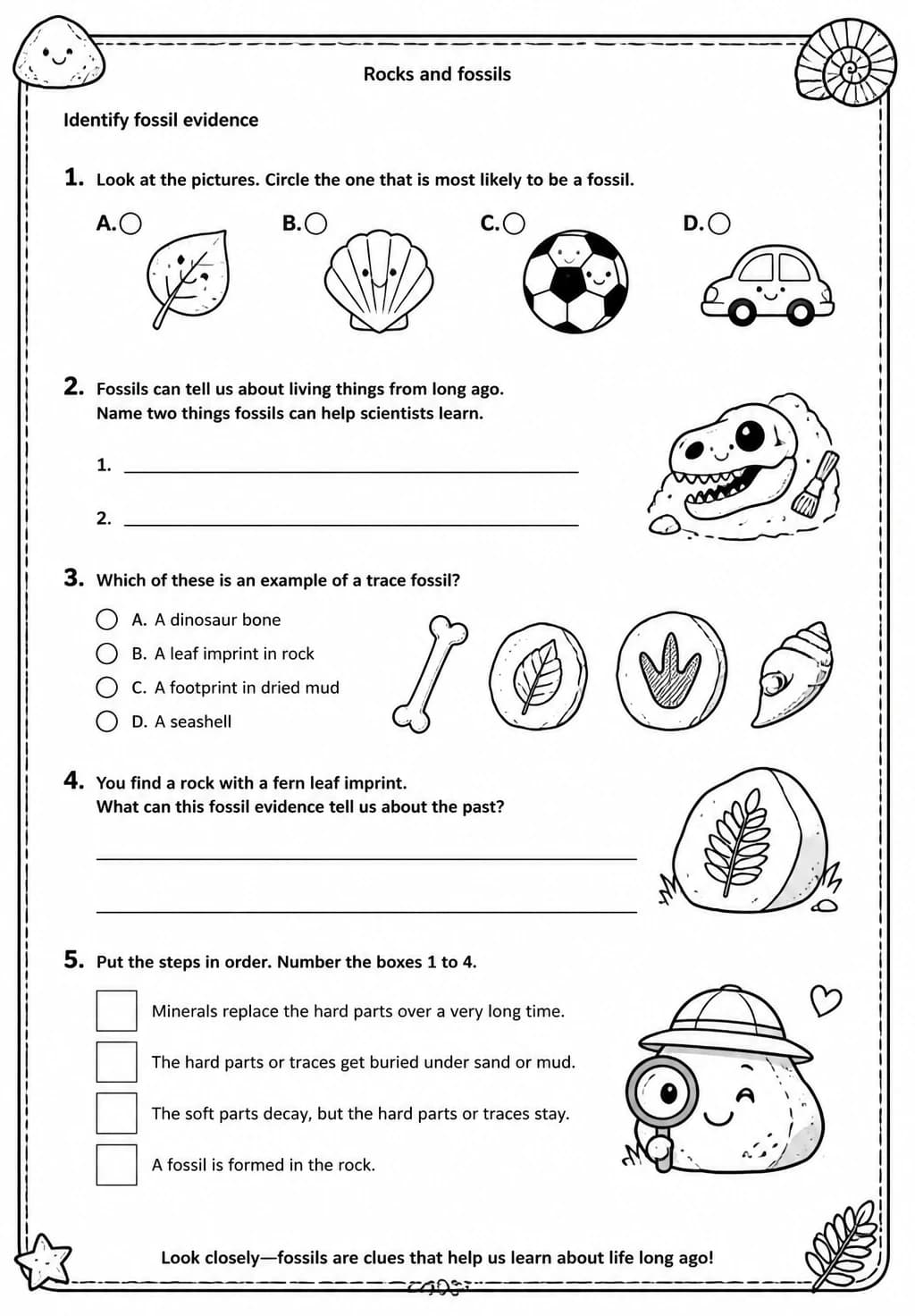 Identify fossil evidence — free printable Grade 4 Science worksheet