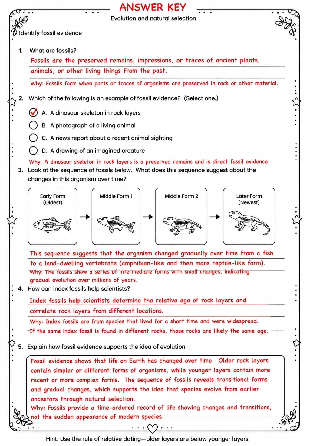 Answer key for Identify fossil evidence — free printable Science worksheet
