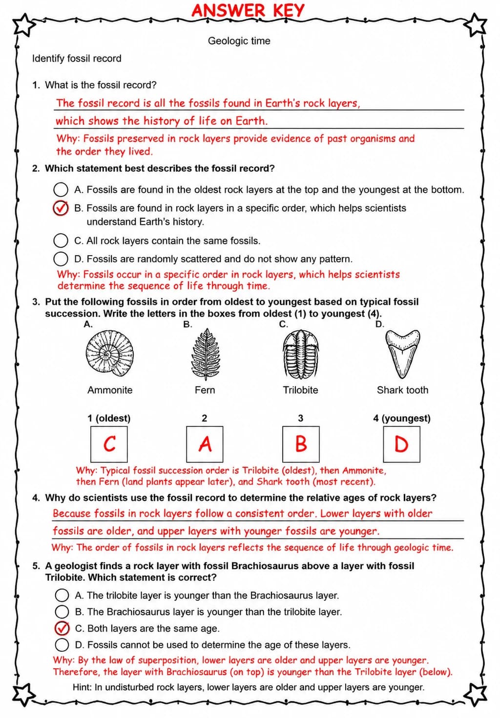 Answer key for Identify fossil record — free printable Science worksheet