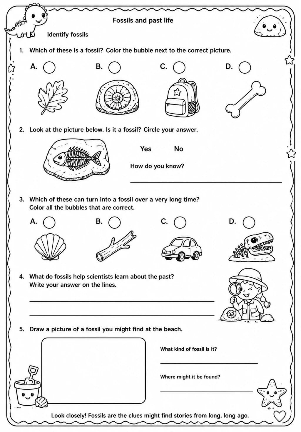 Identify fossils — free printable Grade 3 Science worksheet