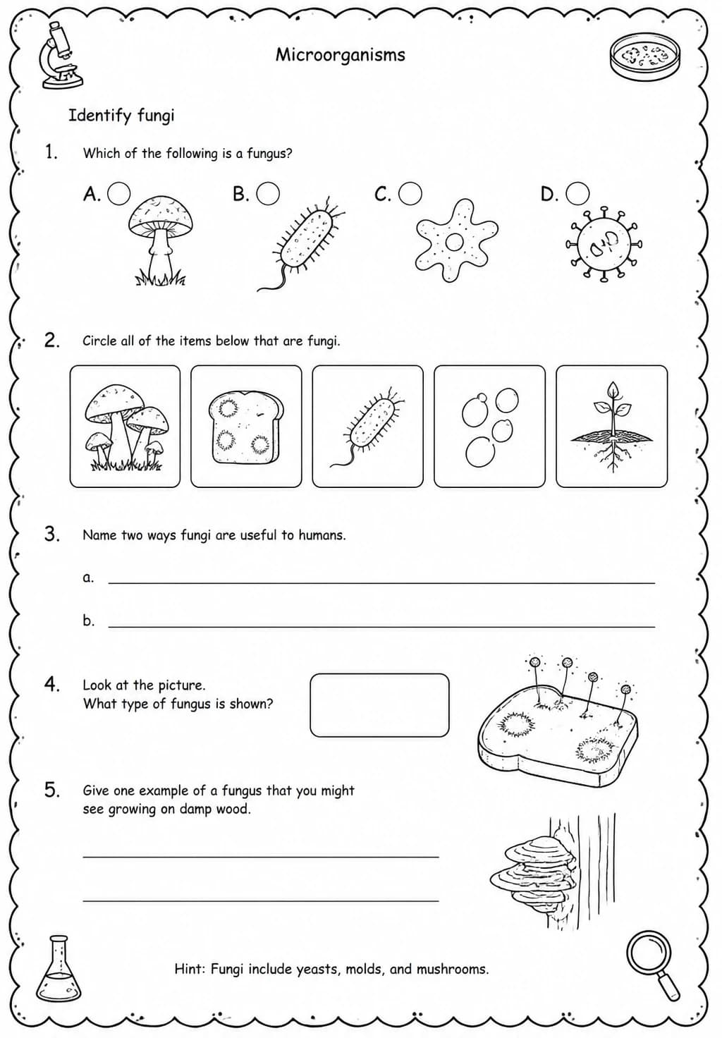 Identify fungi — free printable Middle School Science worksheet
