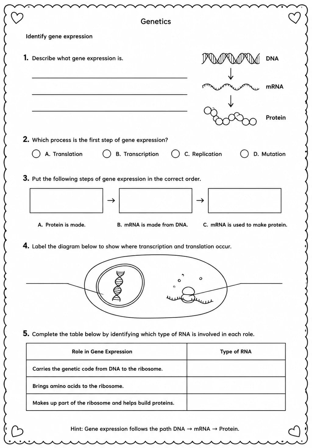 Identify gene expression — free printable High School Science worksheet