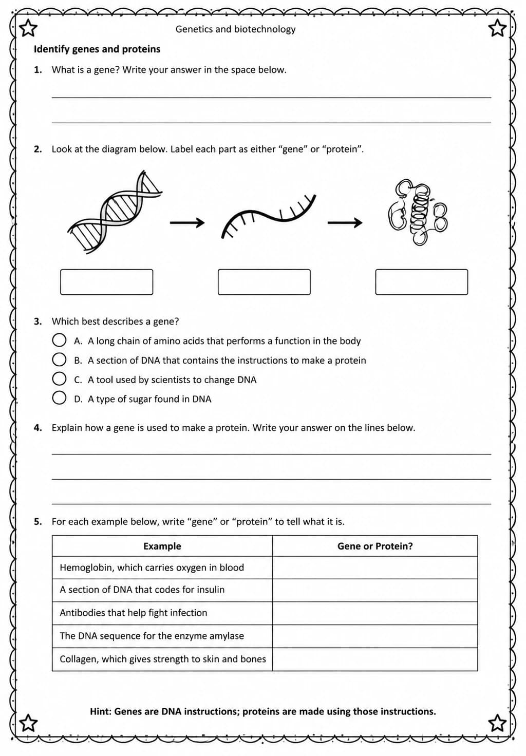 Identify genes and proteins — free printable Middle School Science worksheet