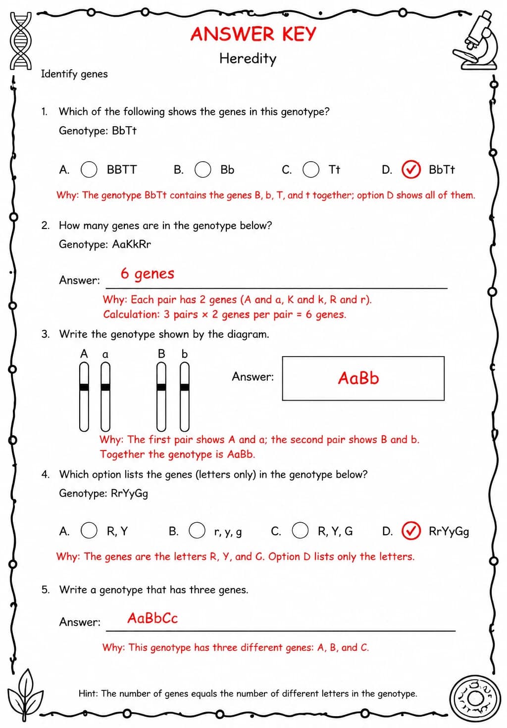 Answer key for Identify genes — free printable Science worksheet