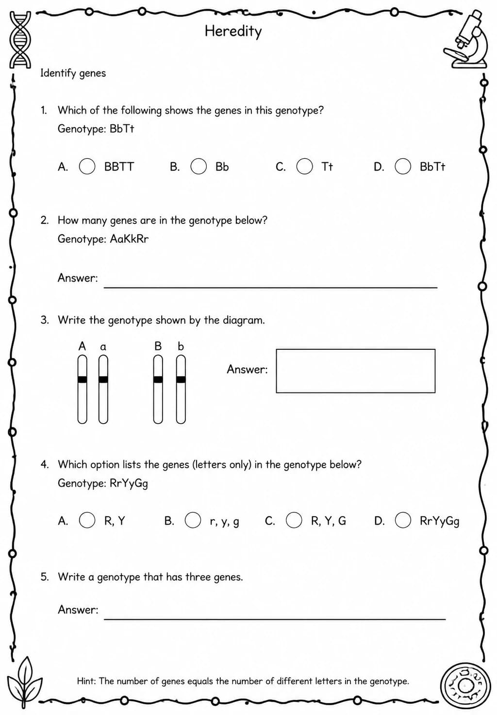 Identify genes — free printable Middle School Science worksheet