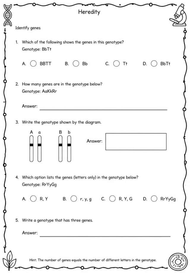 Identify genes
