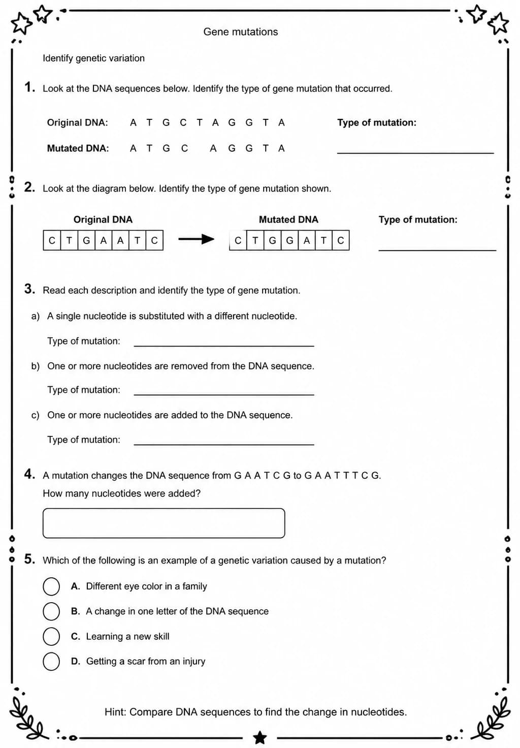 Identify genetic variation — free printable Middle School Science worksheet