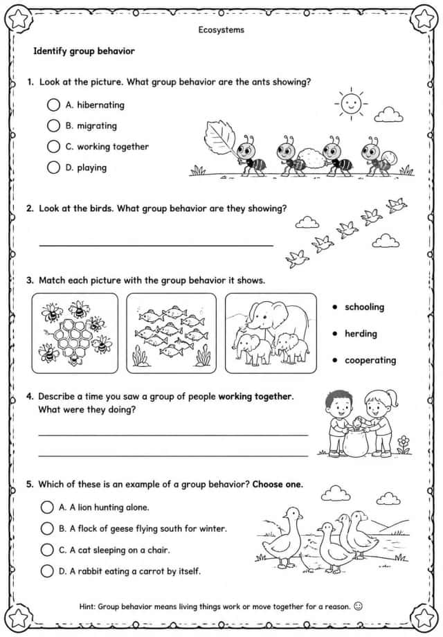 Identify group behavior