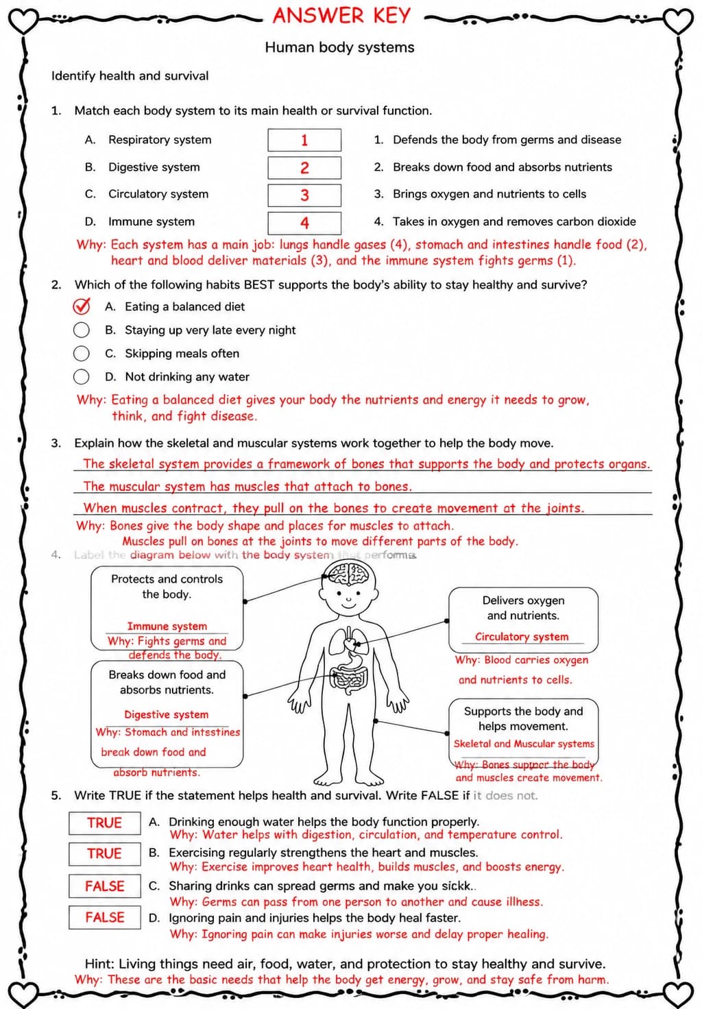 Answer key for Identify health and survival — free printable Science worksheet