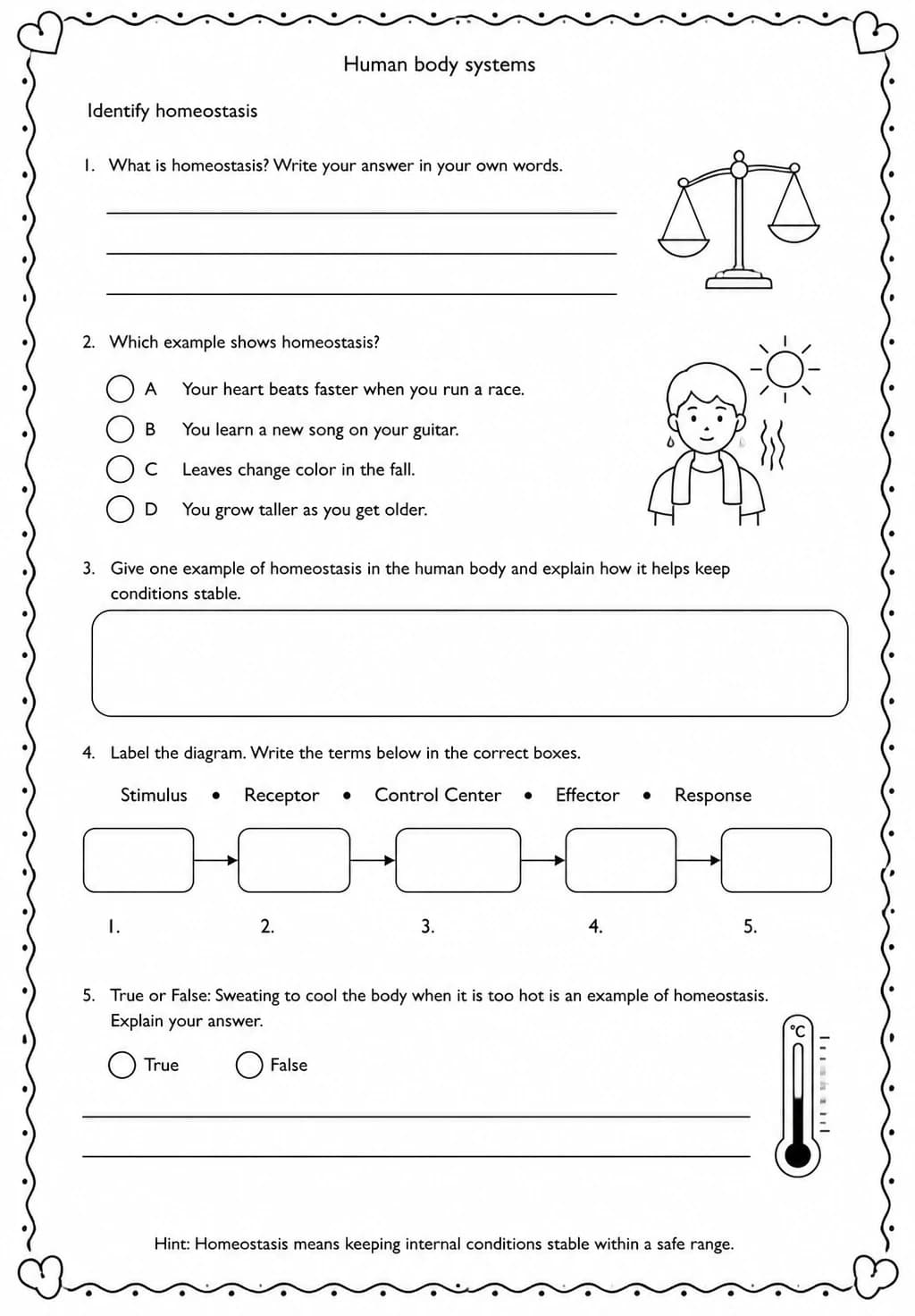 Identify homeostasis — free printable High School Science worksheet