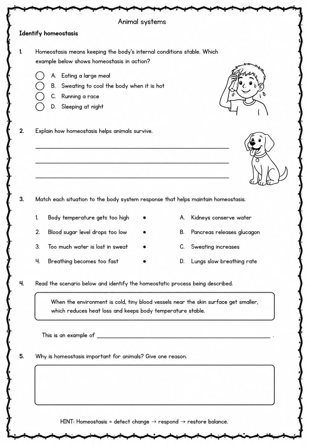 Identify homeostasis — free printable Middle School Science worksheet