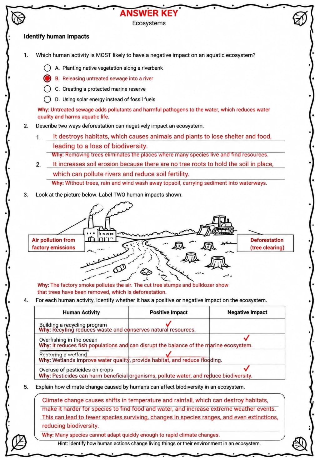 Answer key for Identify human impacts — free printable Science worksheet