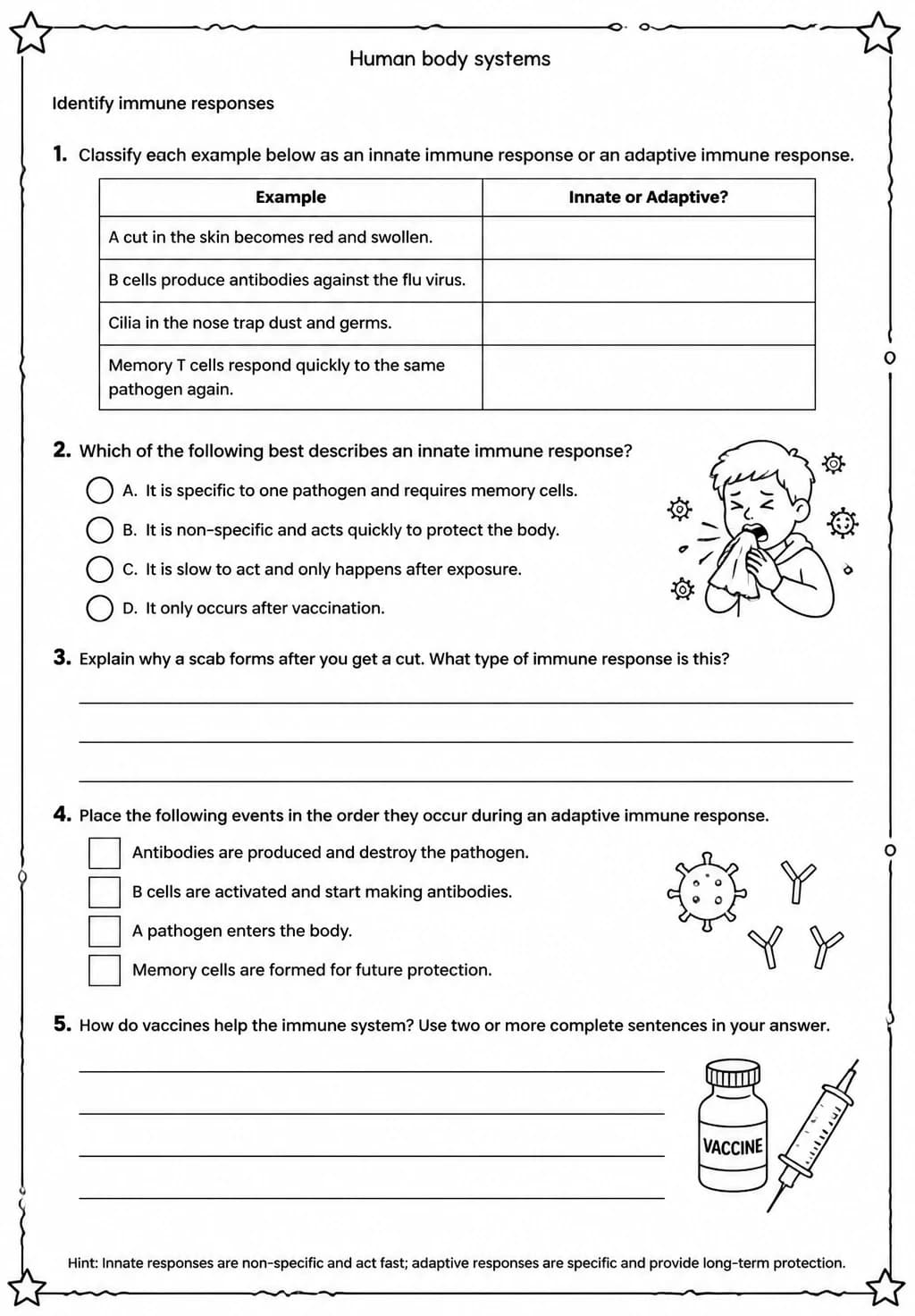 Identify immune responses — free printable Middle School Science worksheet