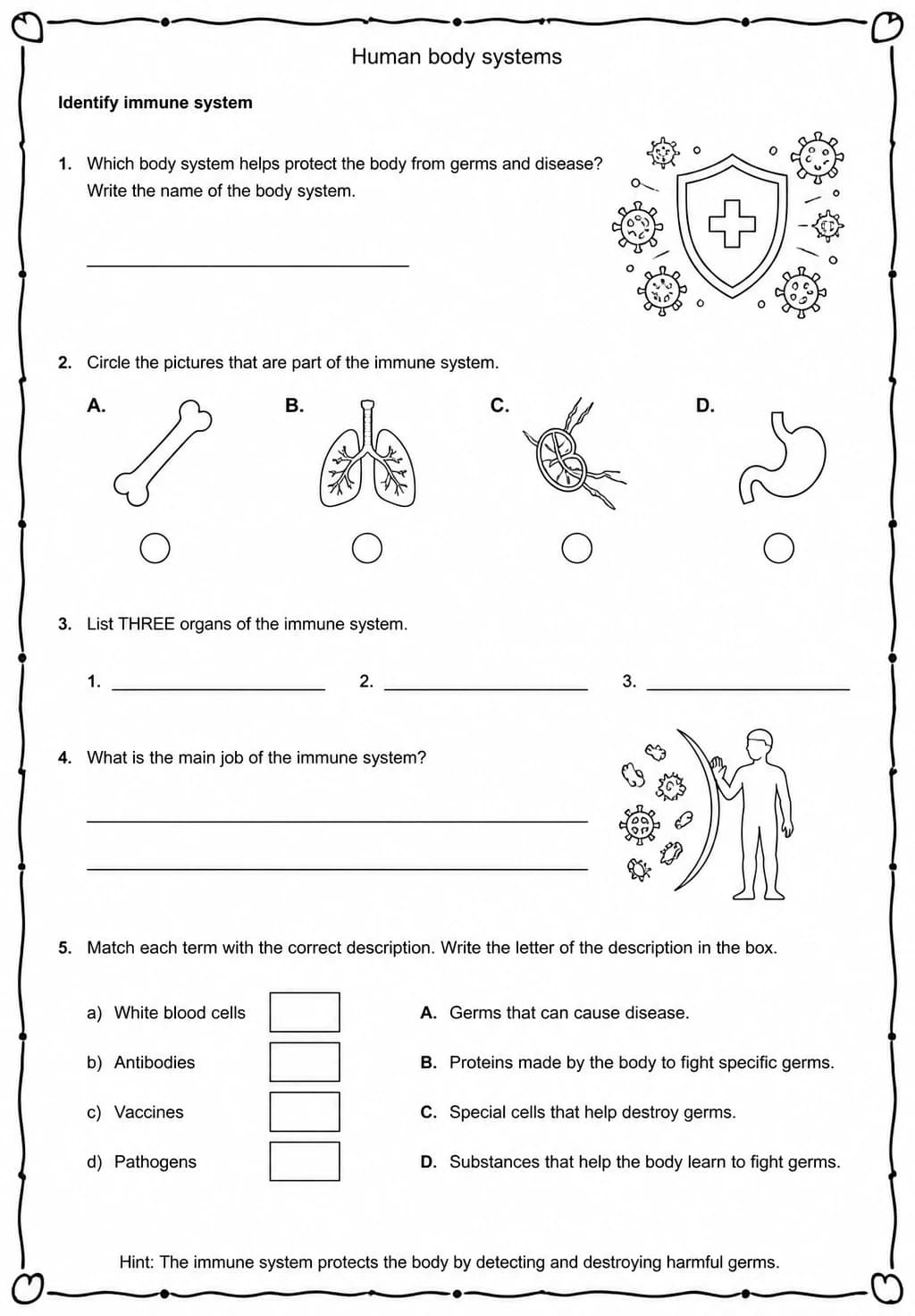 Identify immune system — free printable High School Science worksheet