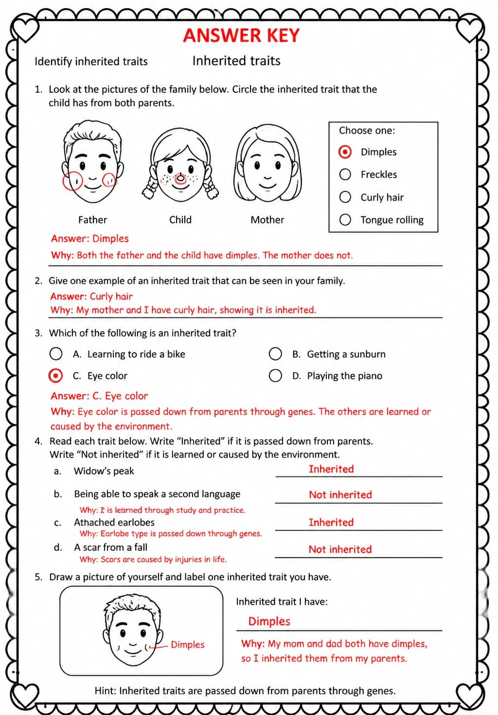 Answer key for Identify inherited traits — free printable Science worksheet