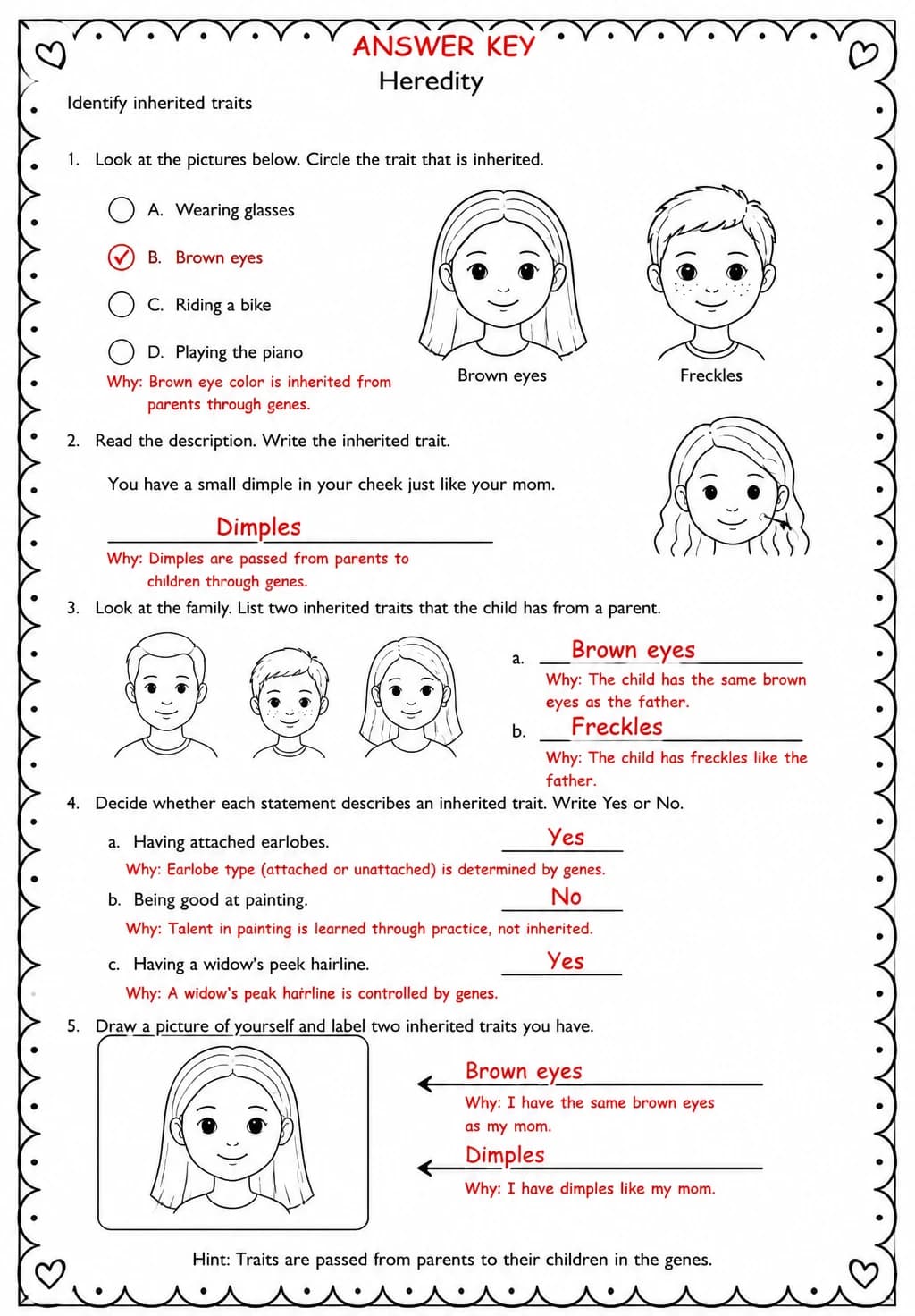 Answer key for Identify inherited traits — free printable Science worksheet