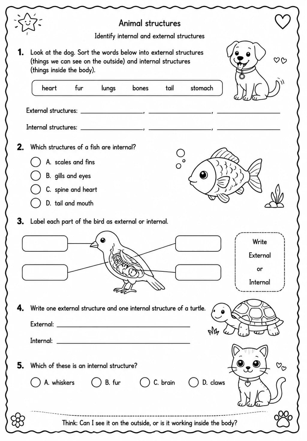 Identify internal and external structures — free printable Grade 4 Science worksheet
