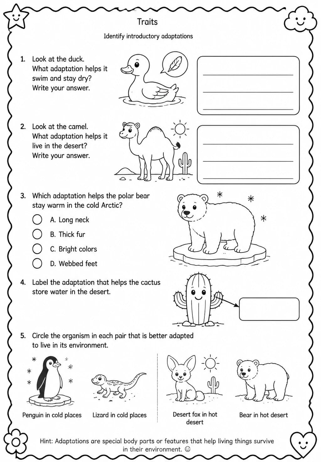 Identify introductory adaptations — free printable Grade 2 Science worksheet