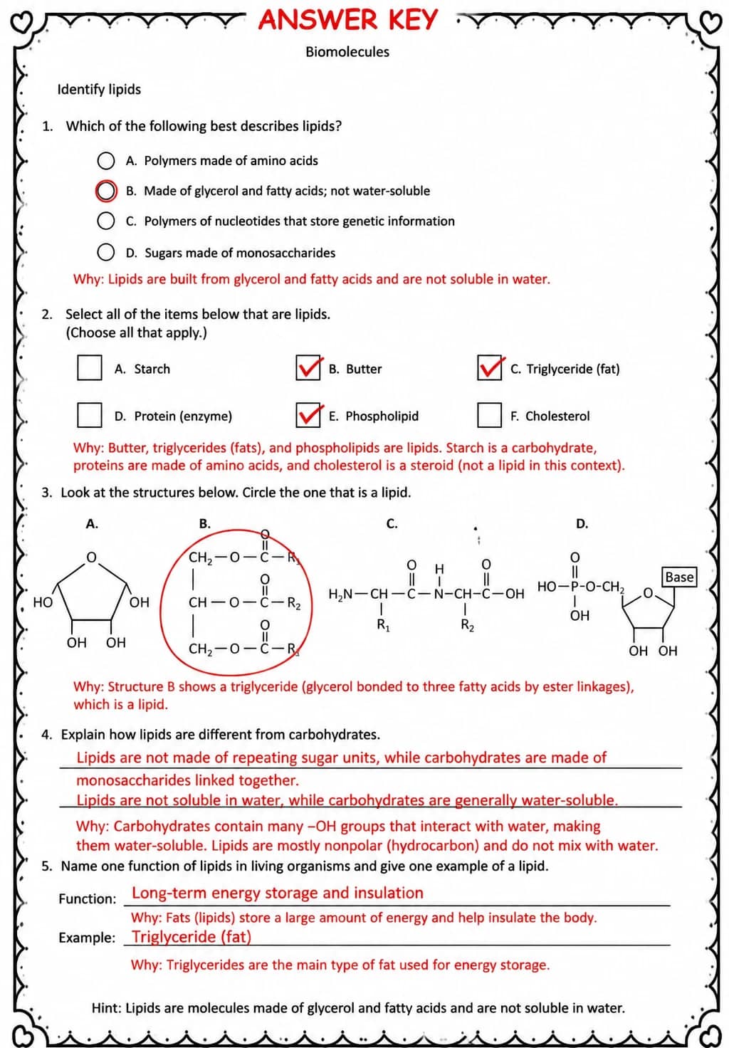 Answer key for Identify lipids — free printable Science worksheet
