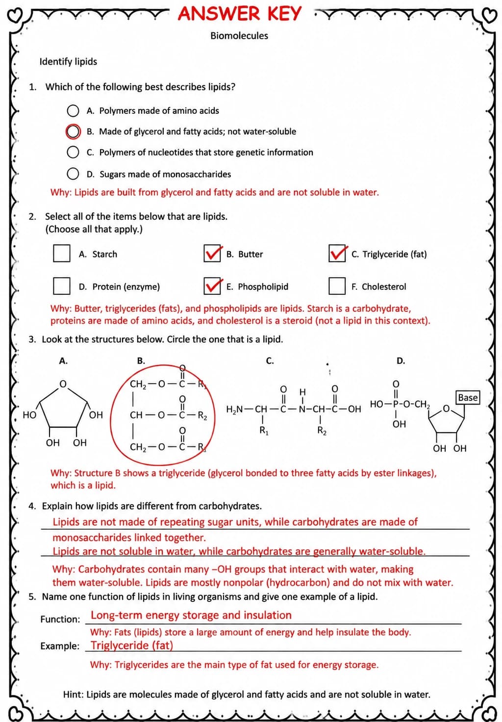 Answer key for Identify lipids — free printable Science worksheet
