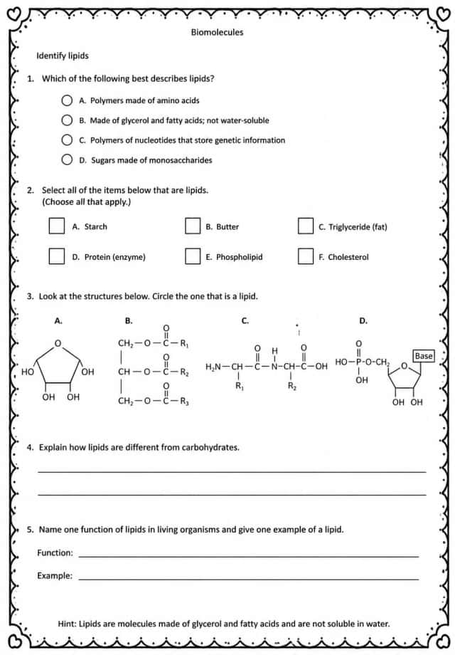 Identify lipids
