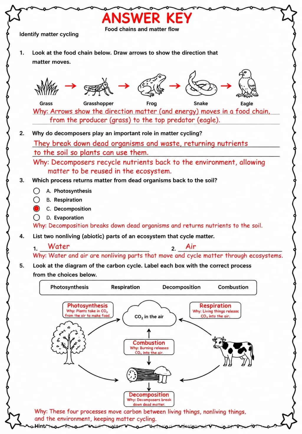 Answer key for Identify matter cycling — free printable Science worksheet