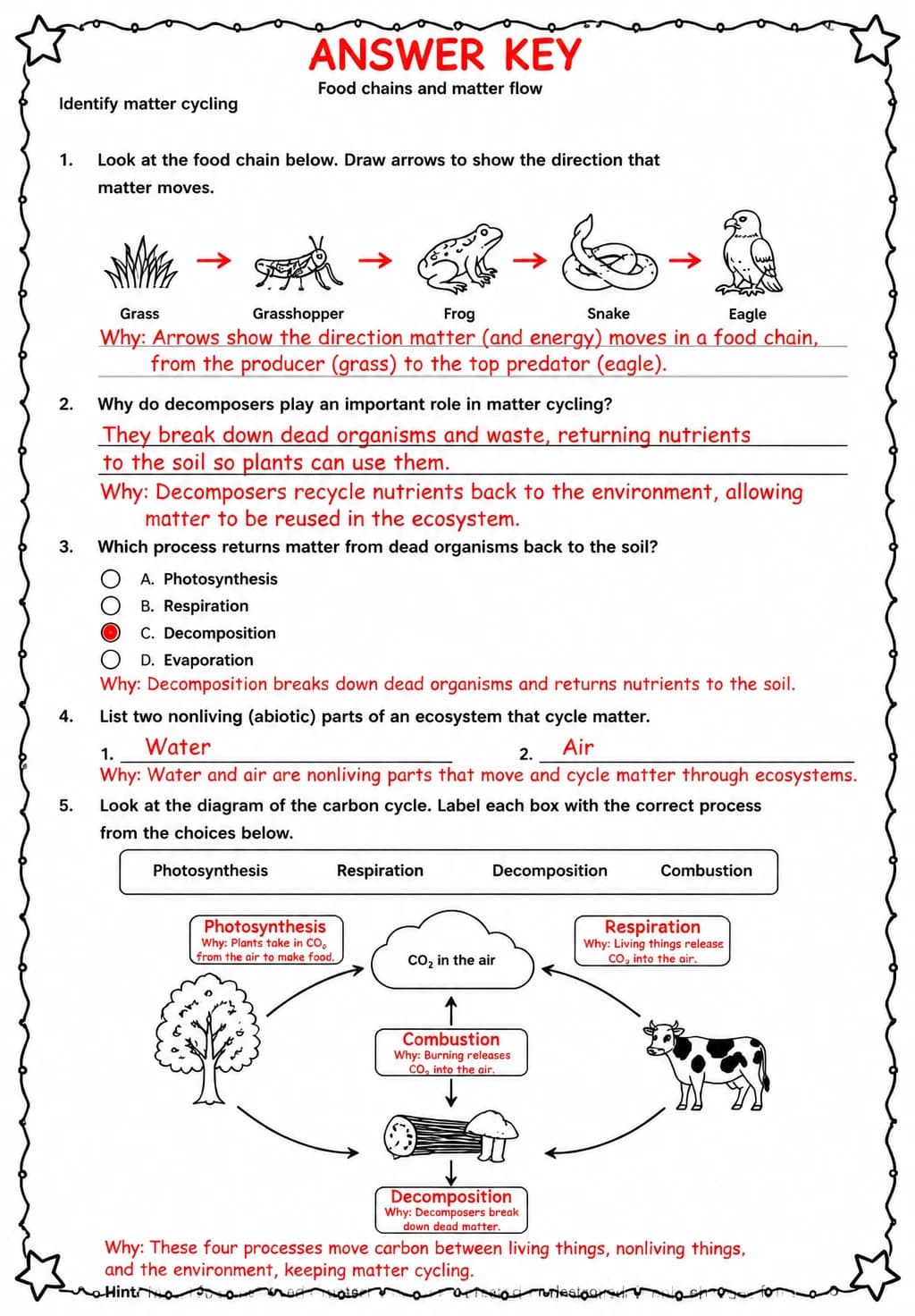 Answer key for Identify matter cycling — free printable Science worksheet