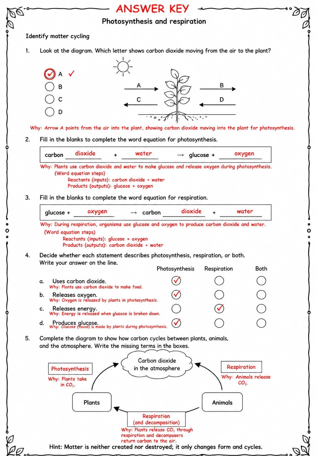 Answer key for Identify matter cycling — free printable Science worksheet