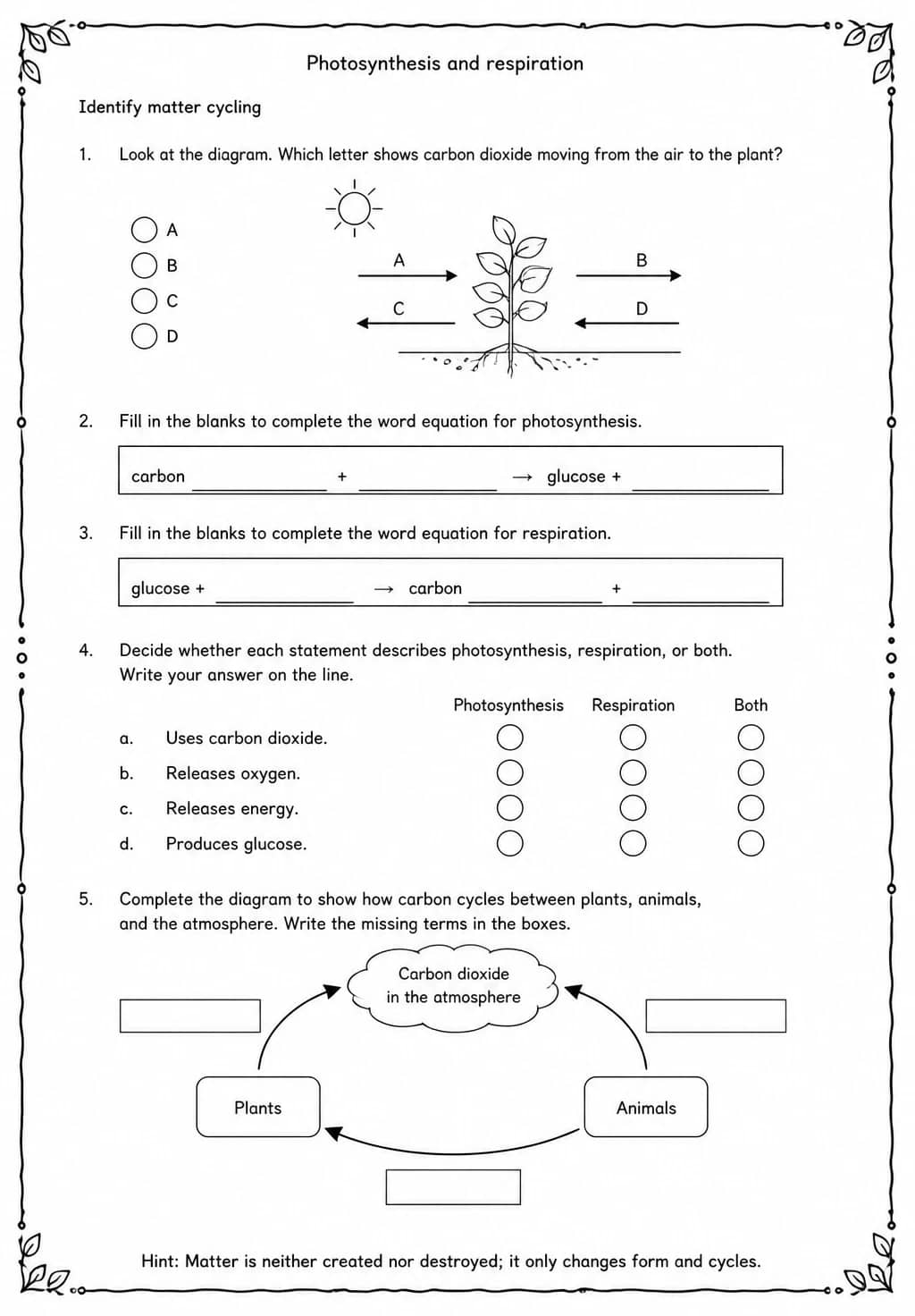 Identify matter cycling — free printable Middle School Science worksheet