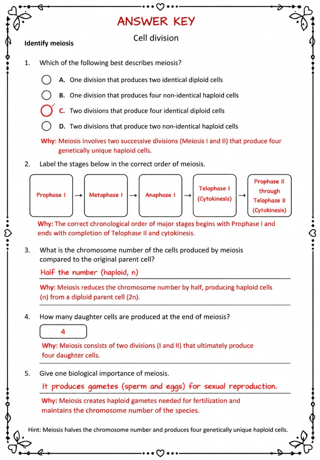 Answer key for Identify meiosis — free printable Science worksheet