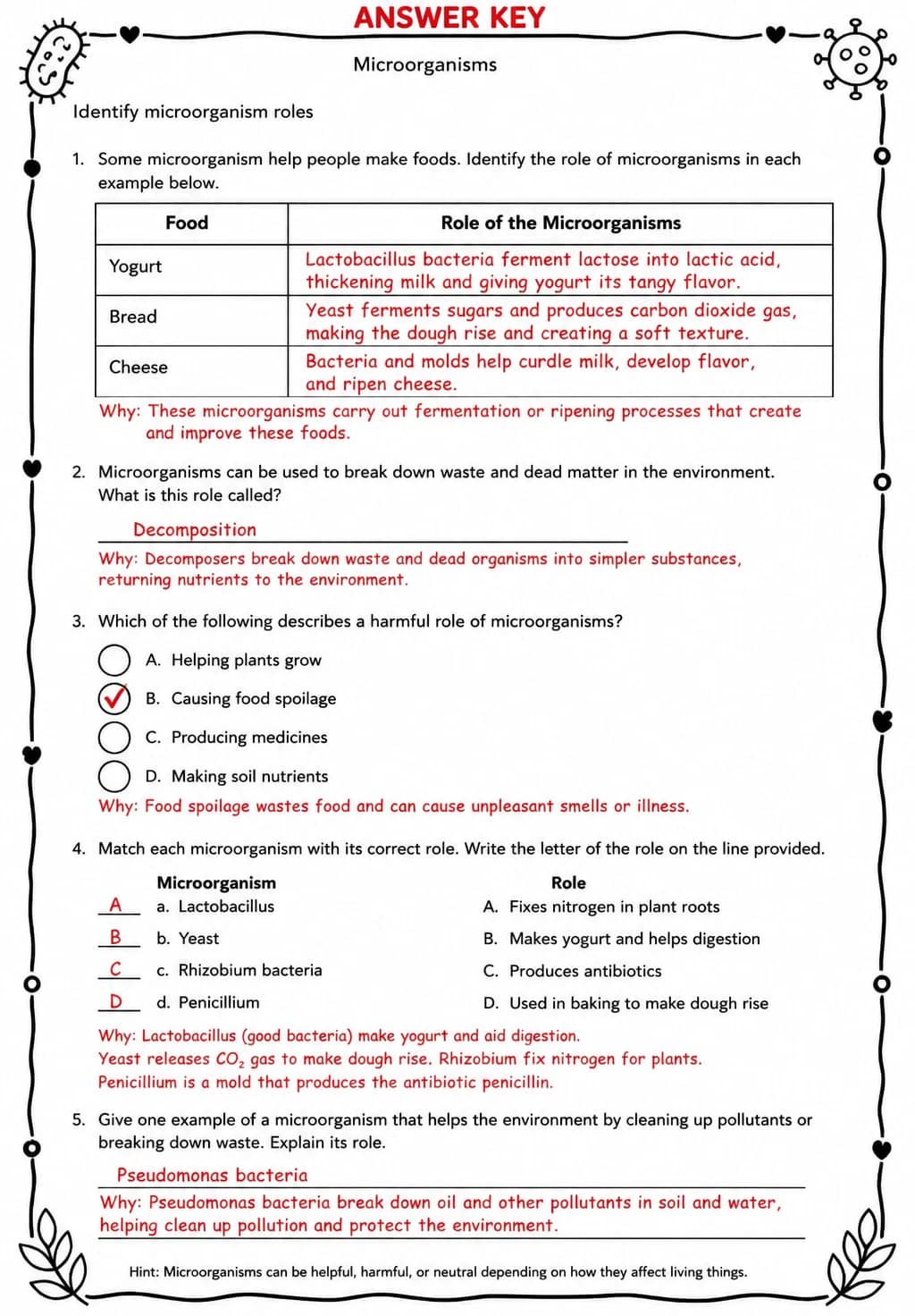 Answer key for Identify microorganism roles — free printable Science worksheet