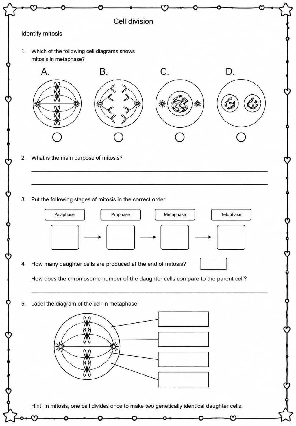 Identify mitosis — free printable High School Science worksheet