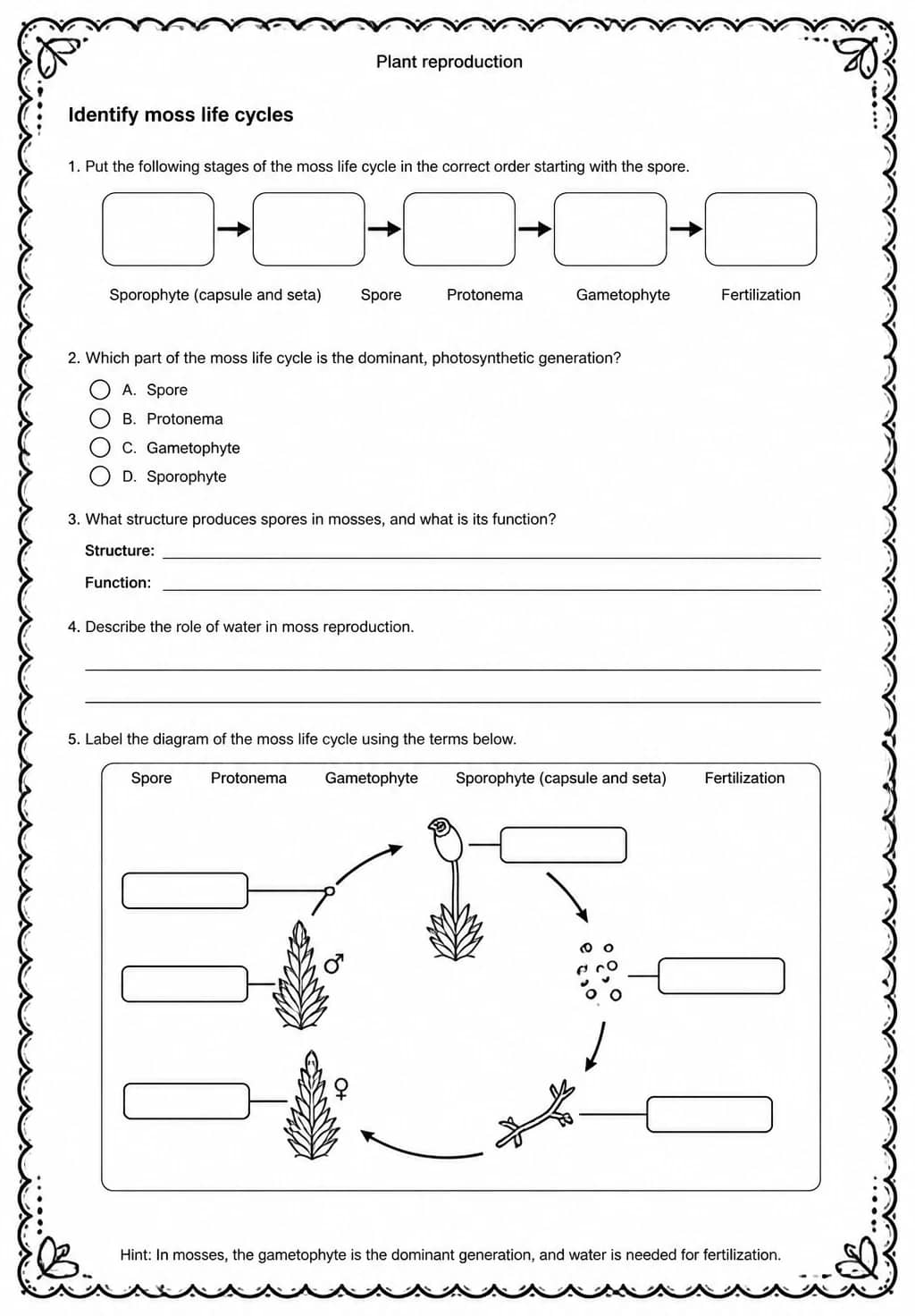 Identify moss life cycles — free printable Middle School Science worksheet