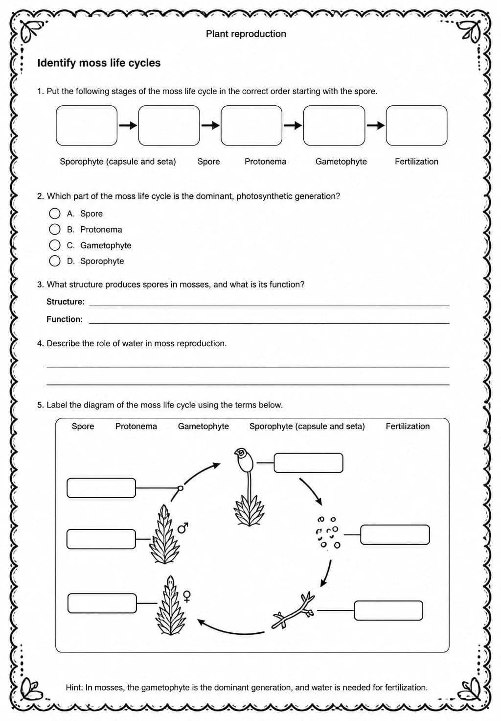 Identify moss life cycles — free printable Middle School Science worksheet