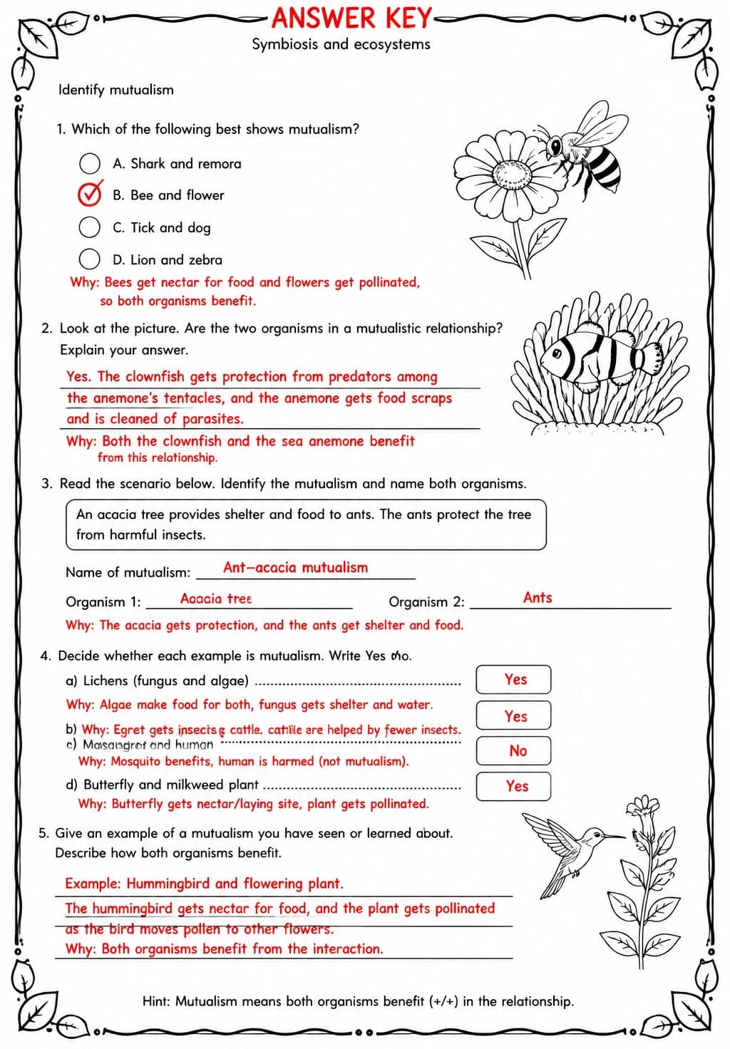 Answer key for Identify mutualism — free printable Science worksheet