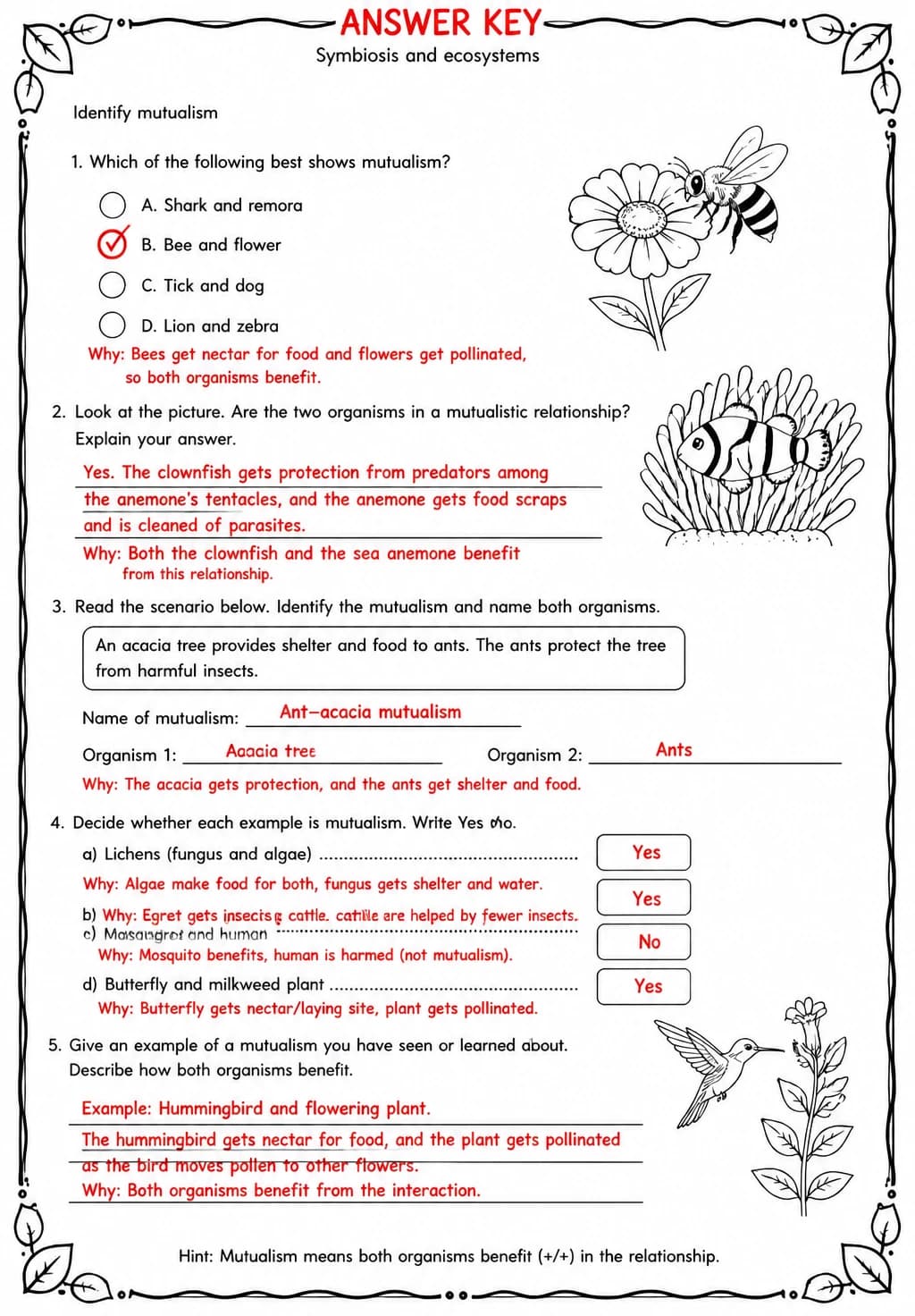 Answer key for Identify mutualism — free printable Science worksheet