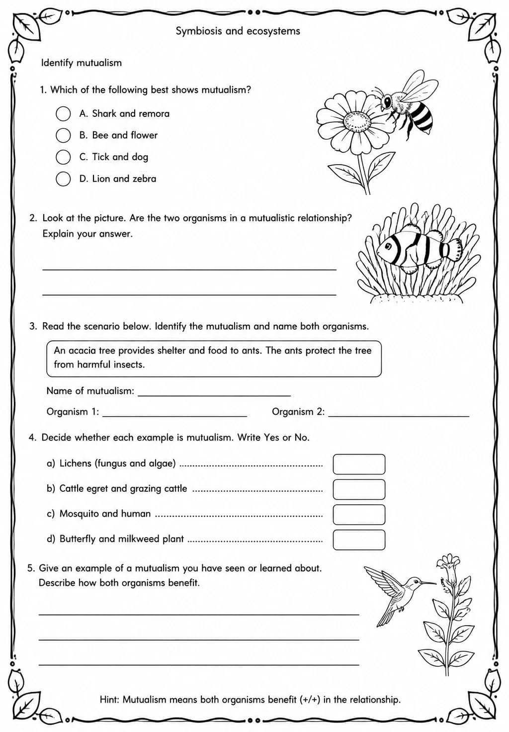 Identify mutualism — free printable Middle School Science worksheet