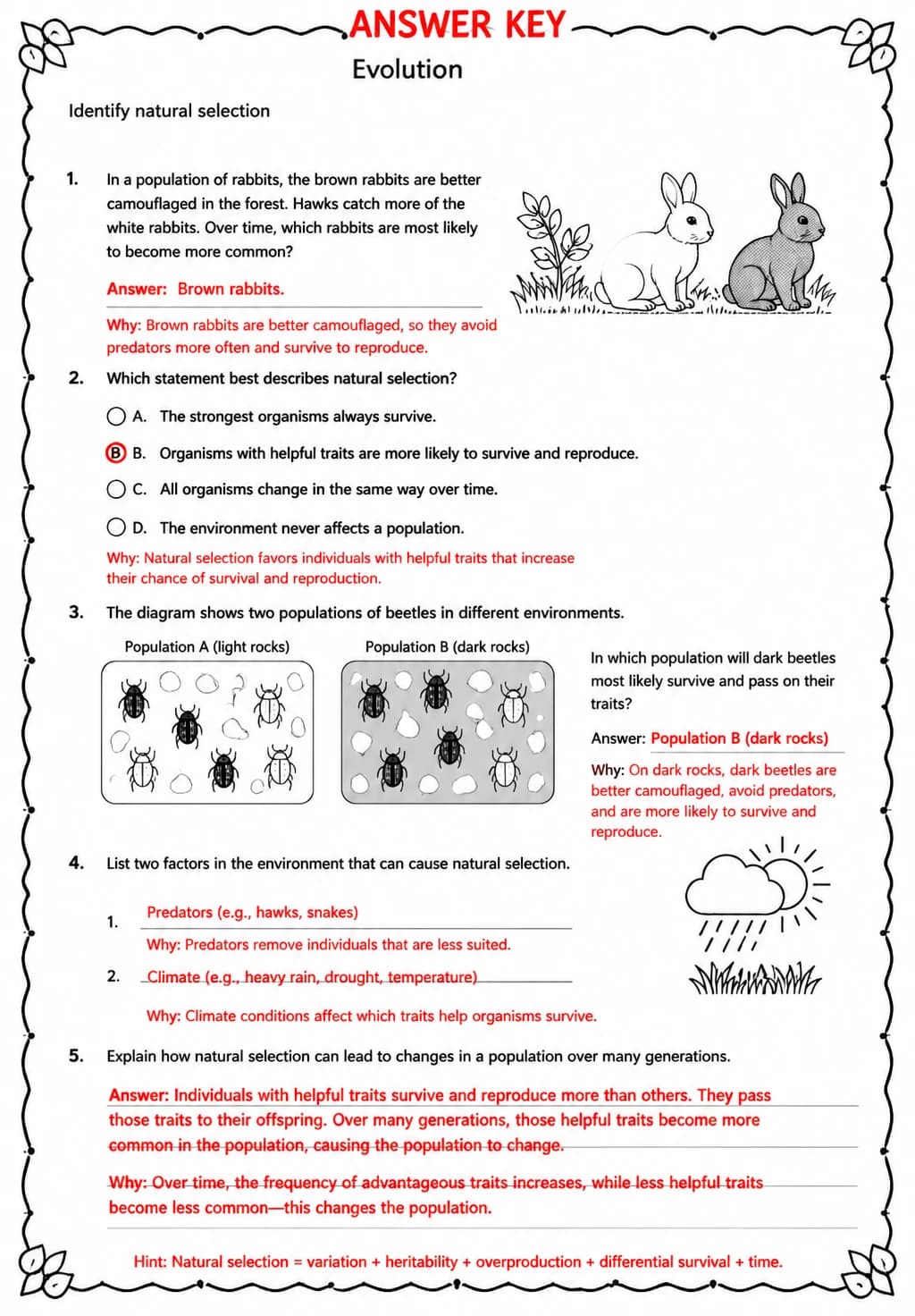 Answer key for Identify natural selection — free printable Science worksheet