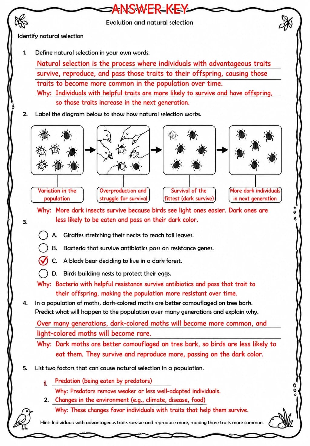 Answer key for Identify natural selection — free printable Science worksheet
