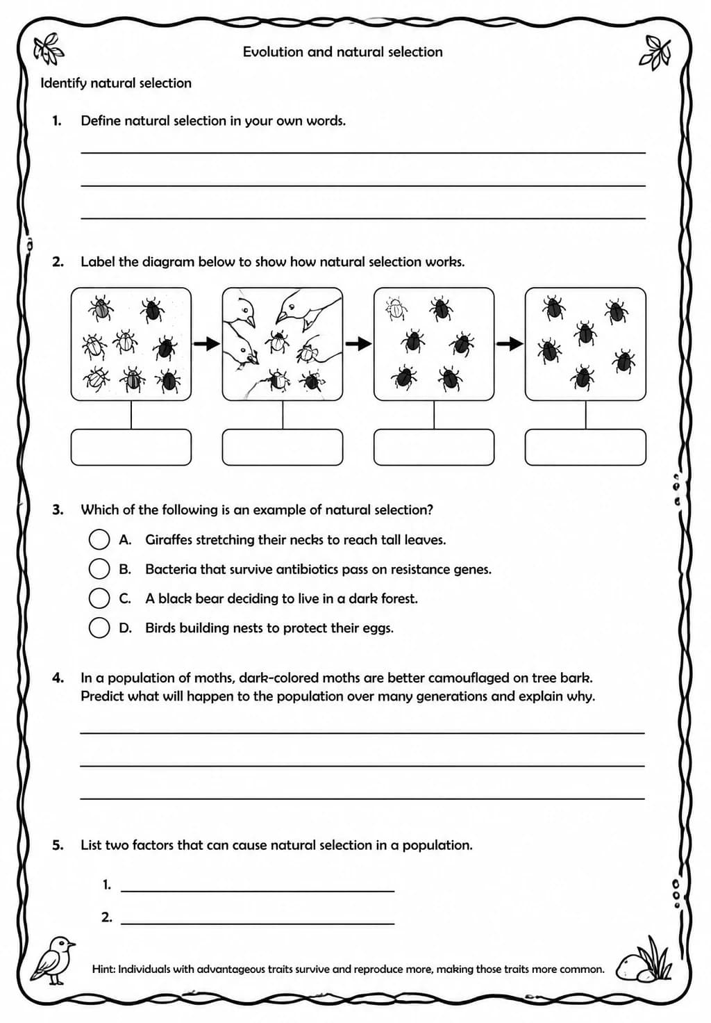 Identify natural selection — free printable Middle School Science worksheet