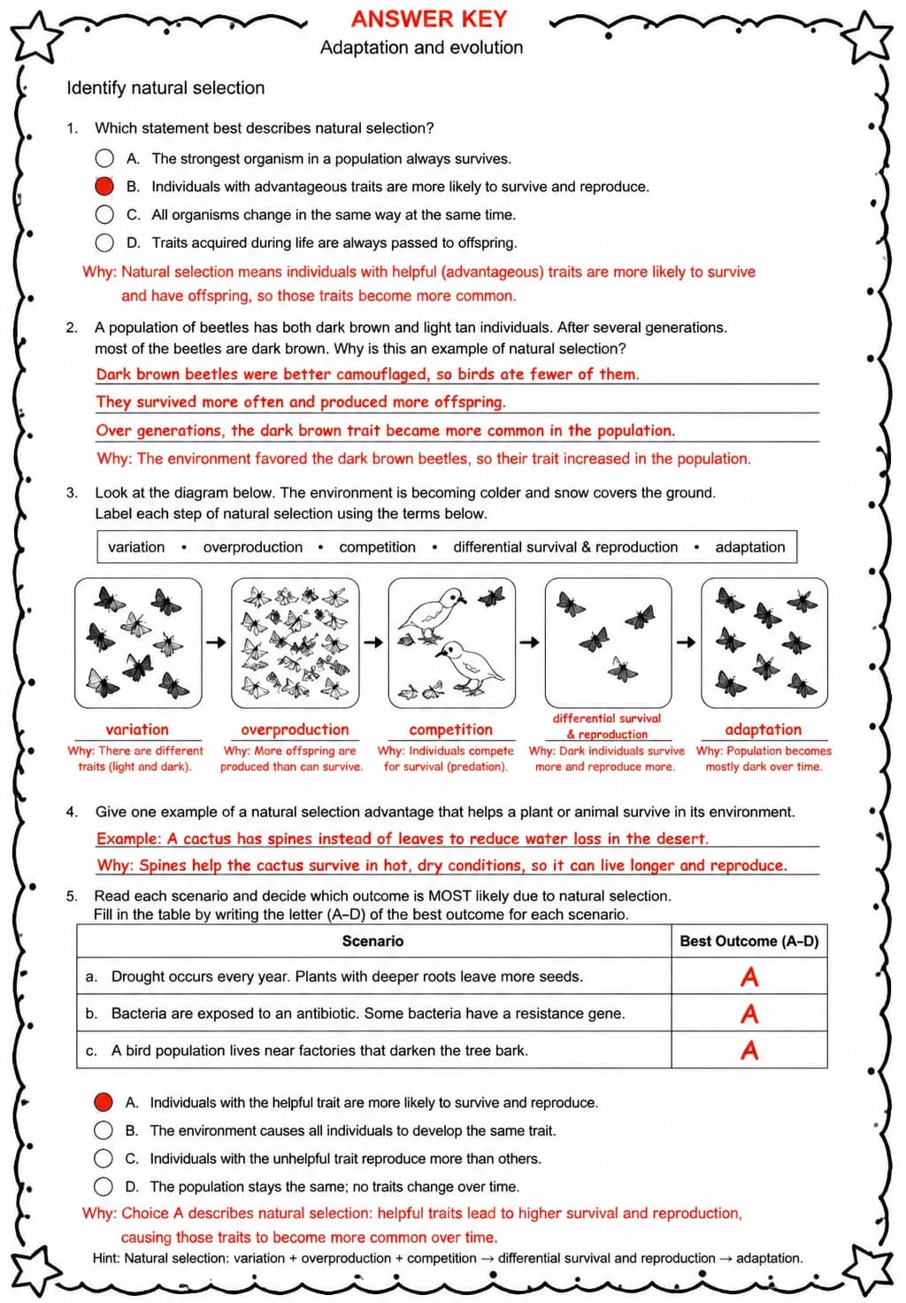 Answer key for Identify natural selection — free printable Science worksheet