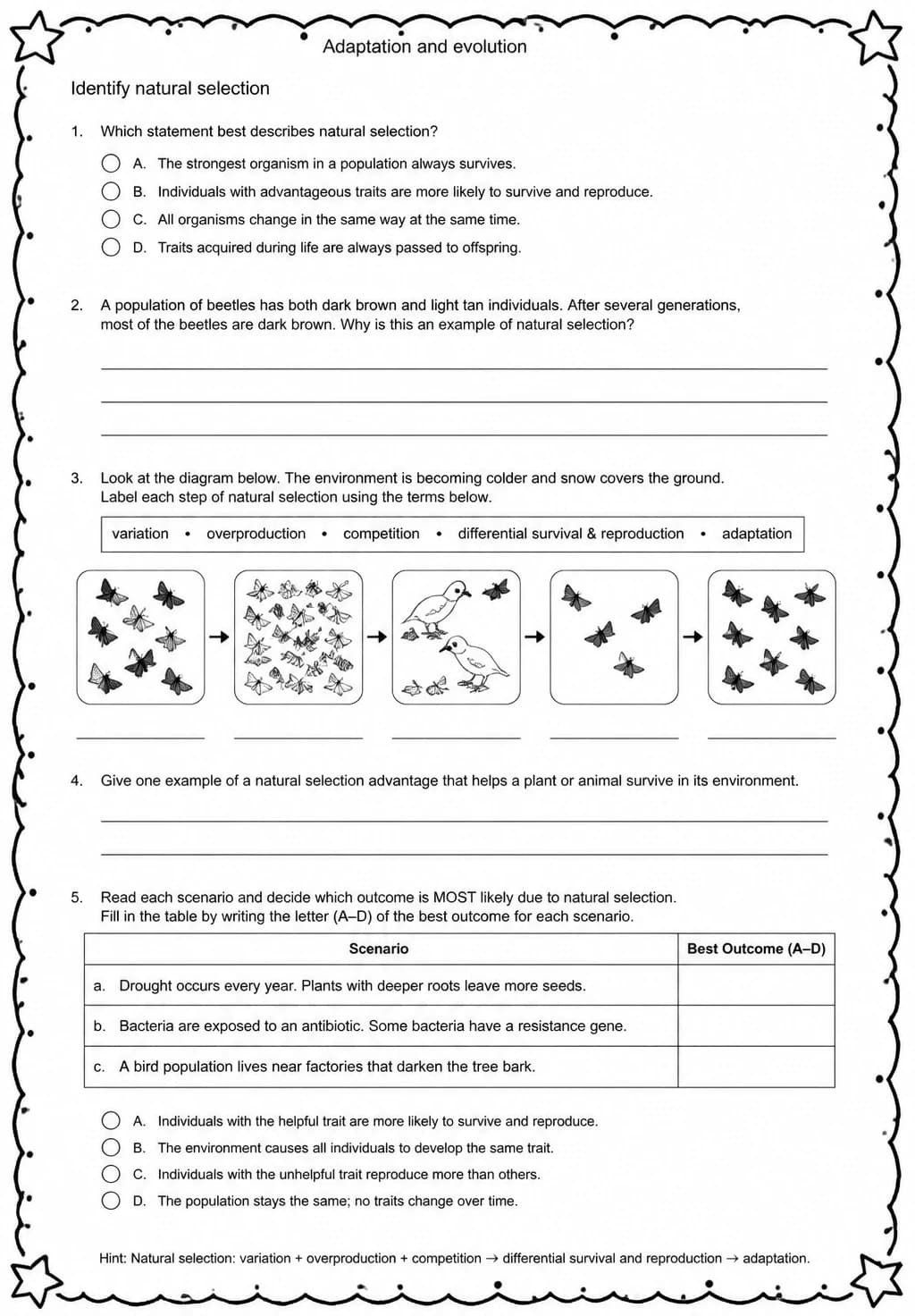 Identify natural selection — free printable Middle School Science worksheet