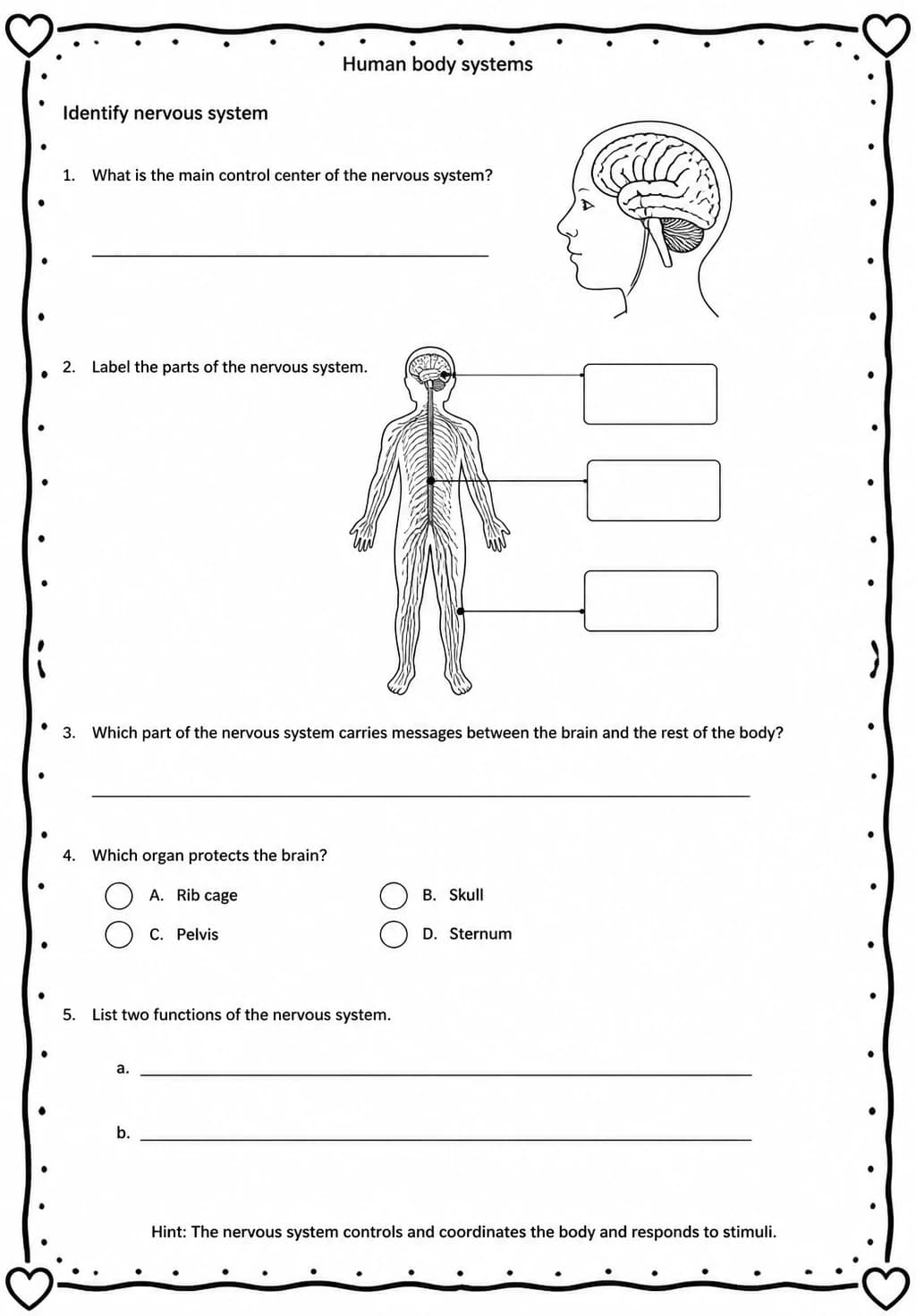 Identify nervous system — free printable High School Science worksheet