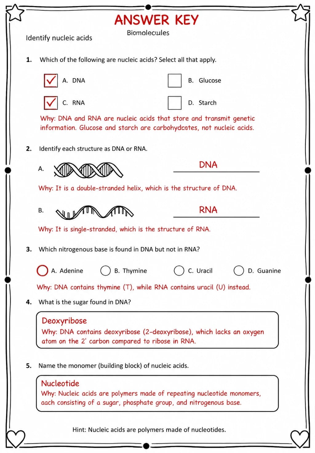 Answer key for Identify nucleic acids — free printable Science worksheet