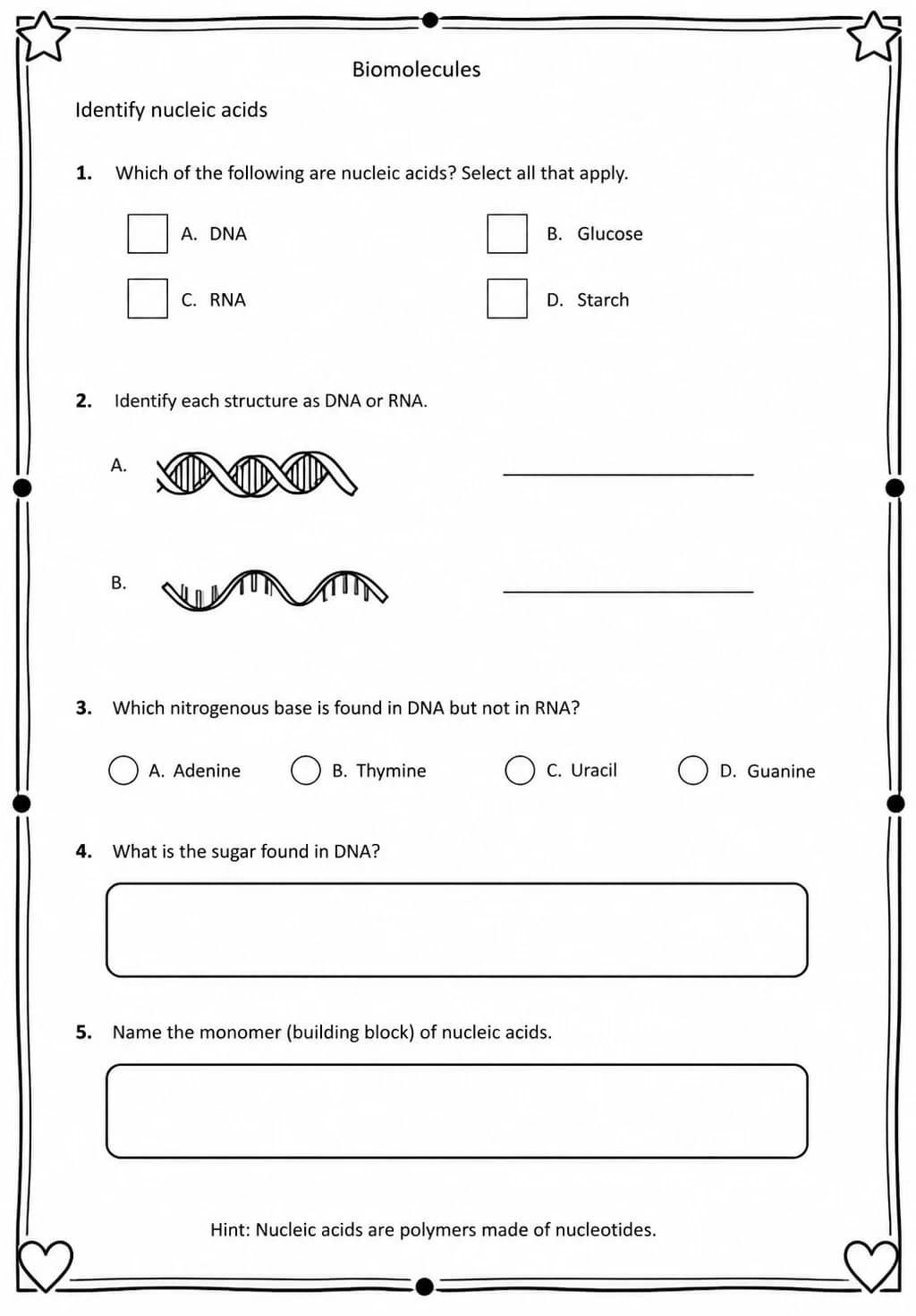 Identify nucleic acids — free printable High School Science worksheet