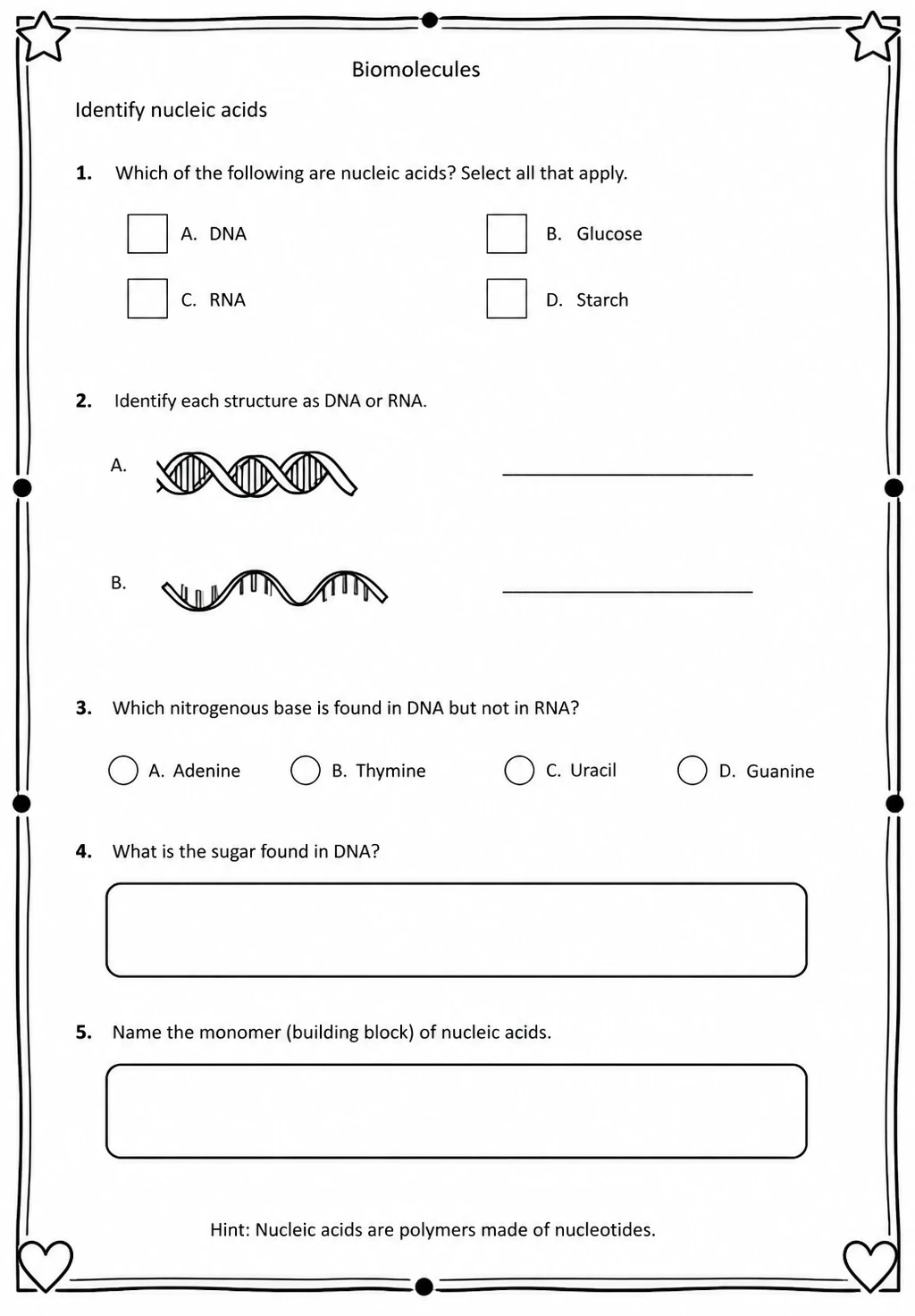 Identify nucleic acids — free printable High School Science worksheet