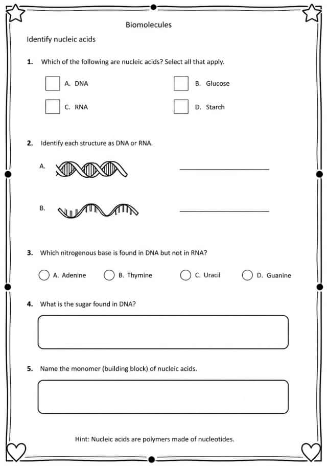 Identify nucleic acids