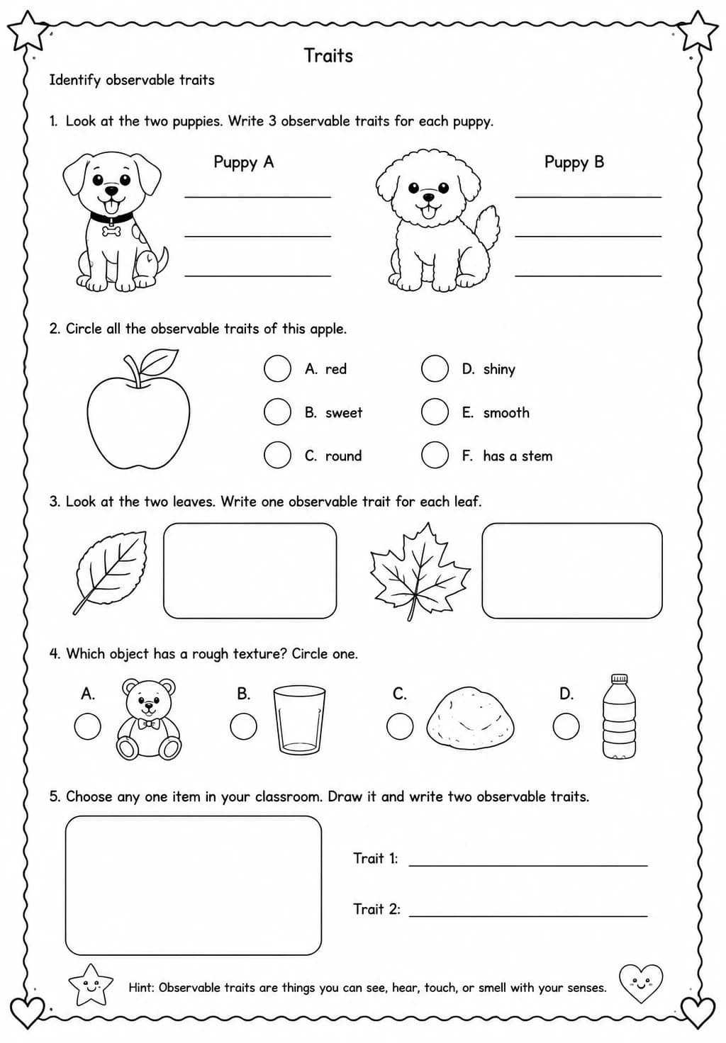 Identify observable traits — free printable Grade 2 Science worksheet