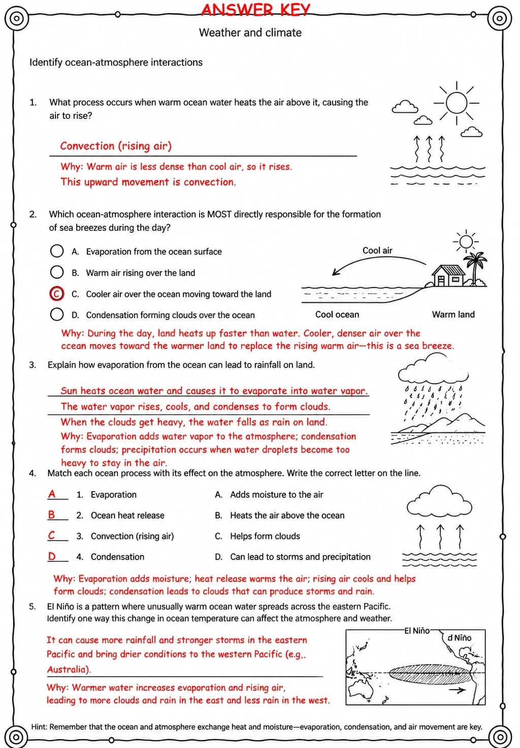 Answer key for Identify ocean-atmosphere interactions — free printable Science worksheet